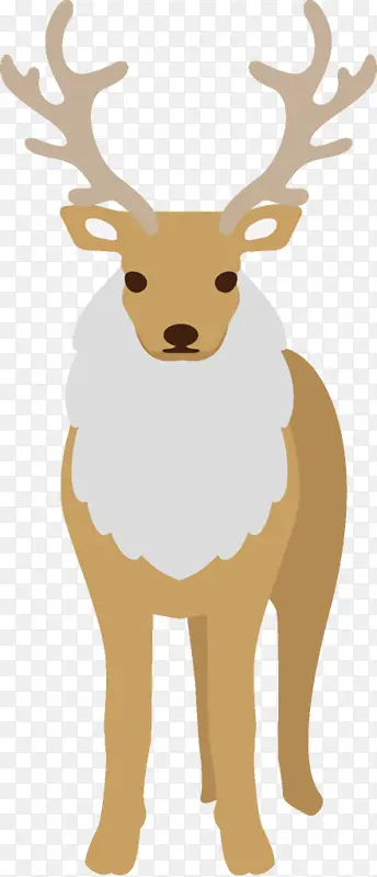 ѱ¹ ʥ����ѱ¹ ʥ����-������