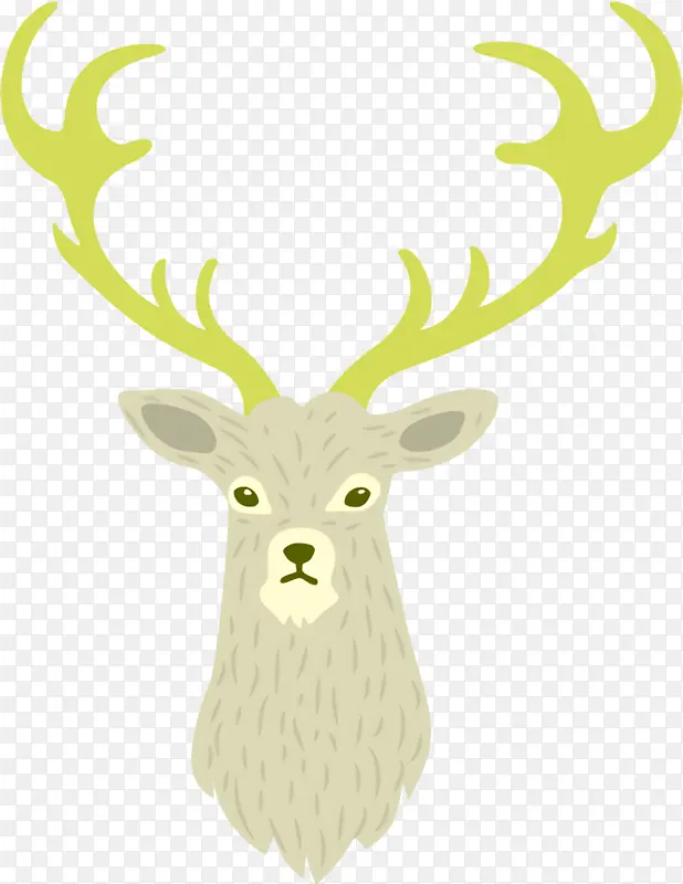 ѱ¹ ʥ����ѱ¹ ʥ����-������