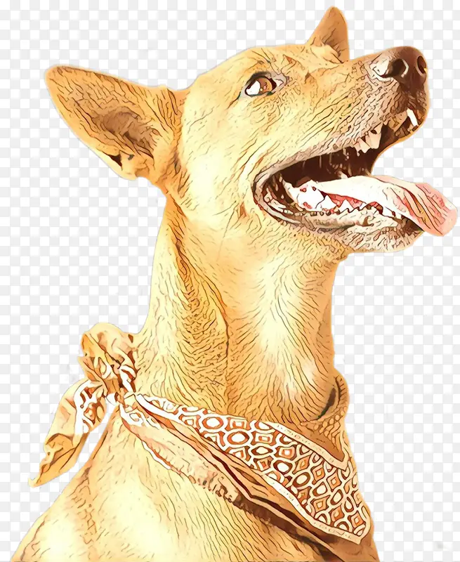 �� ���� ������Ȯ-������