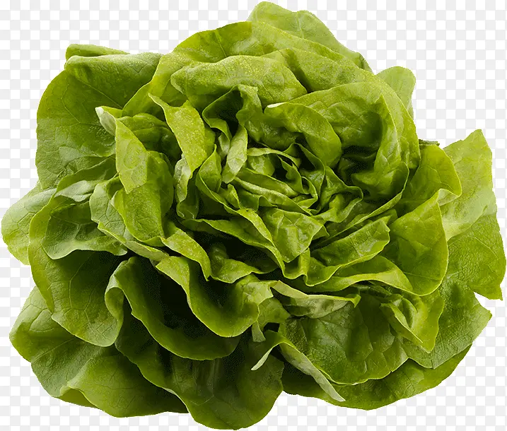 Ҷ�� �߲� ʳƷ-������