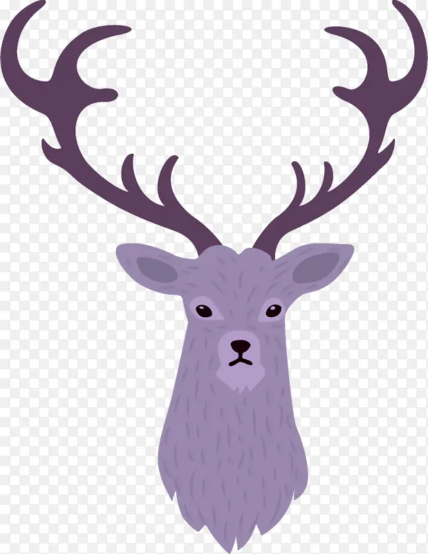 ѱ¹ ʥ����ѱ¹ ʥ����-������