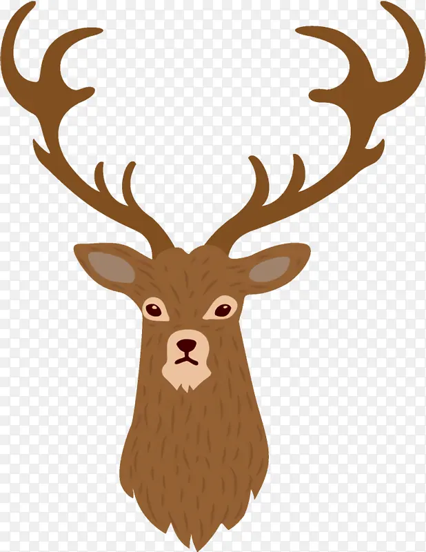 ѱ¹ ʥ����ѱ¹ ʥ����-������