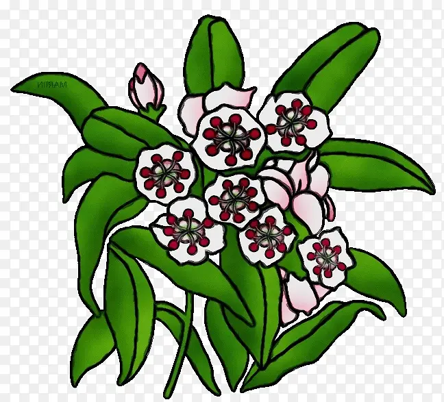 ˮ�ʻ� ���� ʪī-������