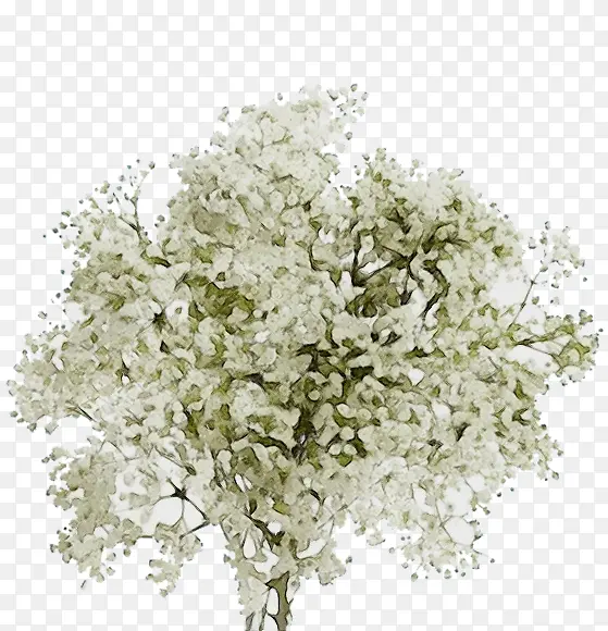 ˮ�ʻ� ���� ʪī-������