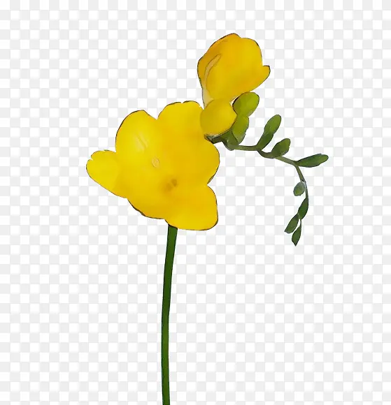 ˮ�ʻ� ���� ʪī-������