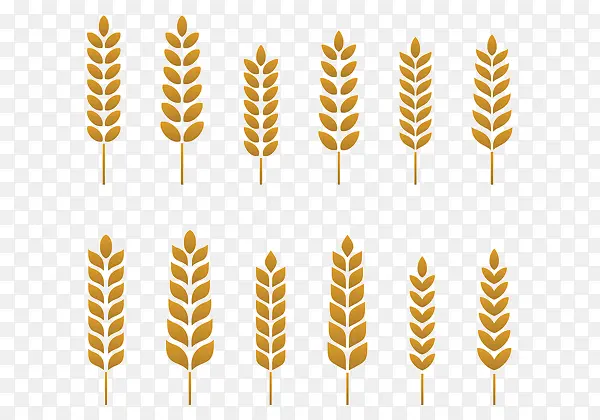 �ݿ�ֲ��ά��ֲ��-������