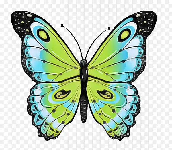 �ɶ�ͺ��� ���� ����-������