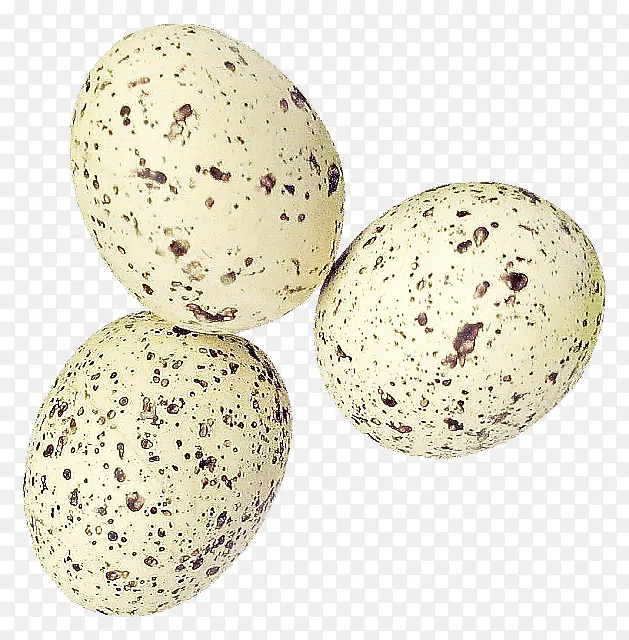 ���� ʳ�� ��Բ��-������