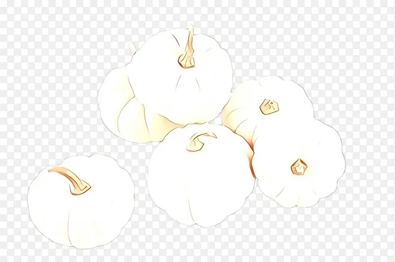 ��ɫ ֲ��-������