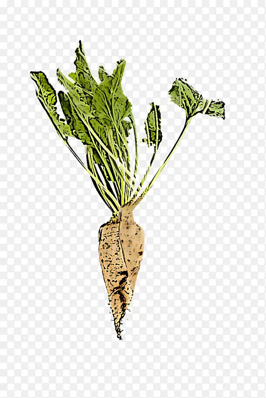 ֲ�� �� �߲�-������