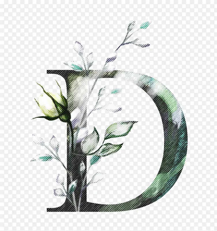 ��ɫ ��֦ ֲ��-������