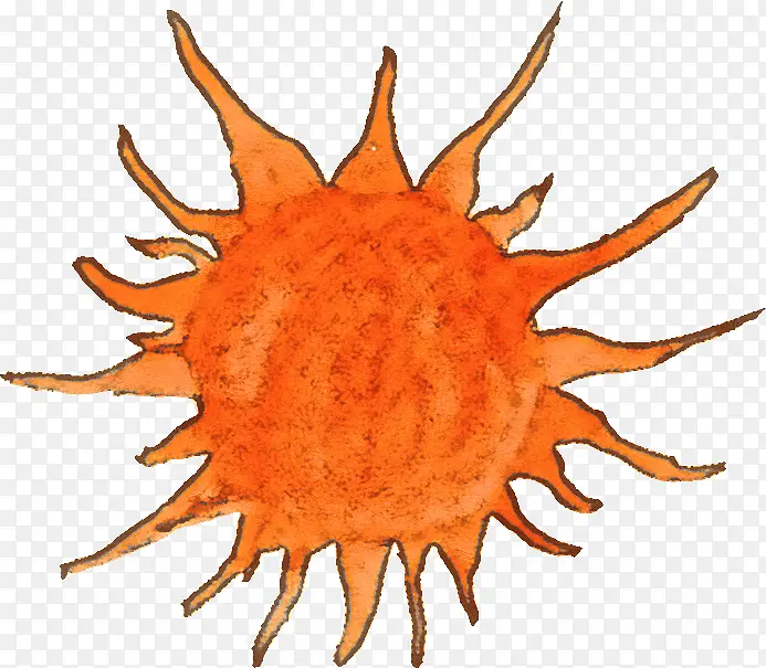 ��ɫ-������