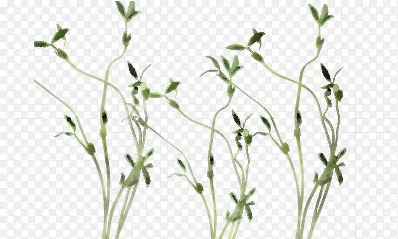 ֲ�� �� ��-������