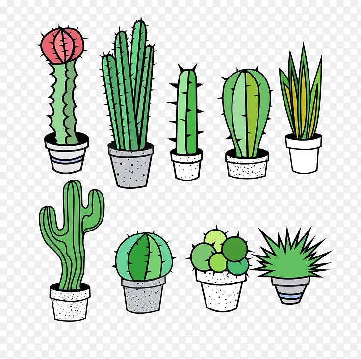 ������ ���� ��ɫ-������