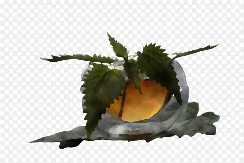 �� ��ָ Ƥ��-������