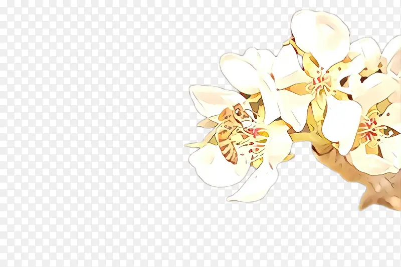 ��ɫ �� ֲ��-������