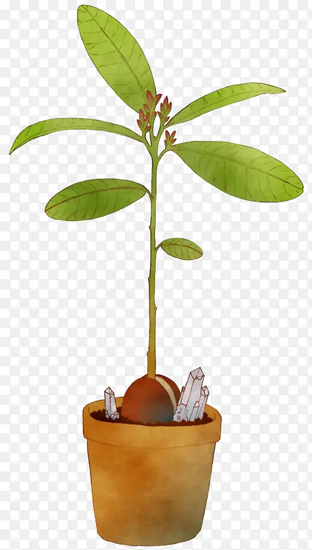 ˮ�ʻ� ���� ʪī-������