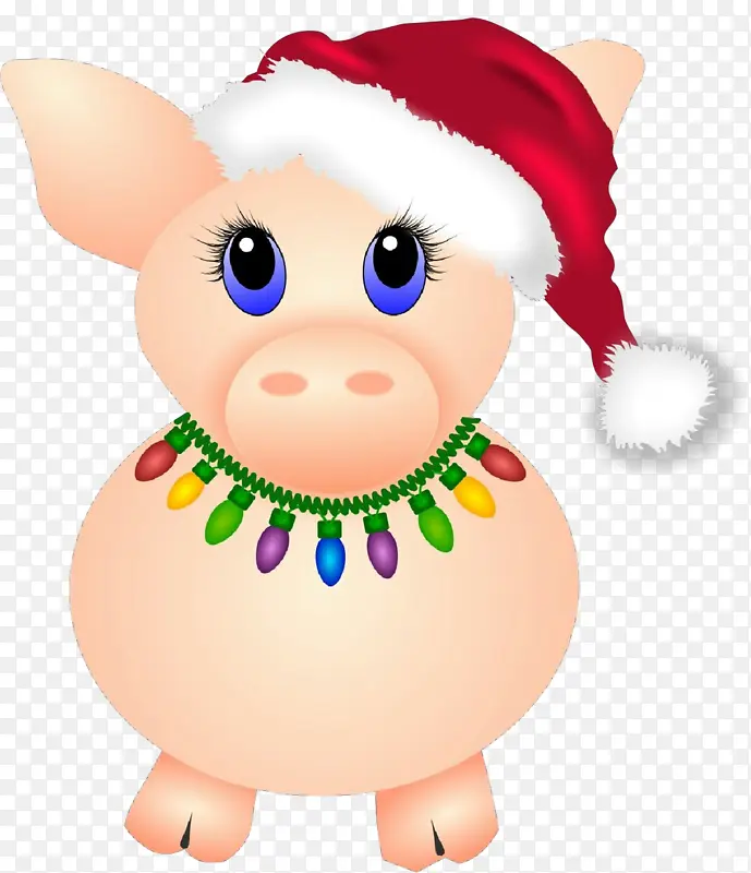 ��ͨ ���� ����-������