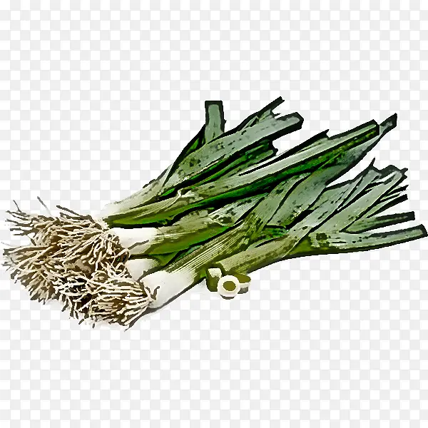 �߲� ֲ�� �²�-������