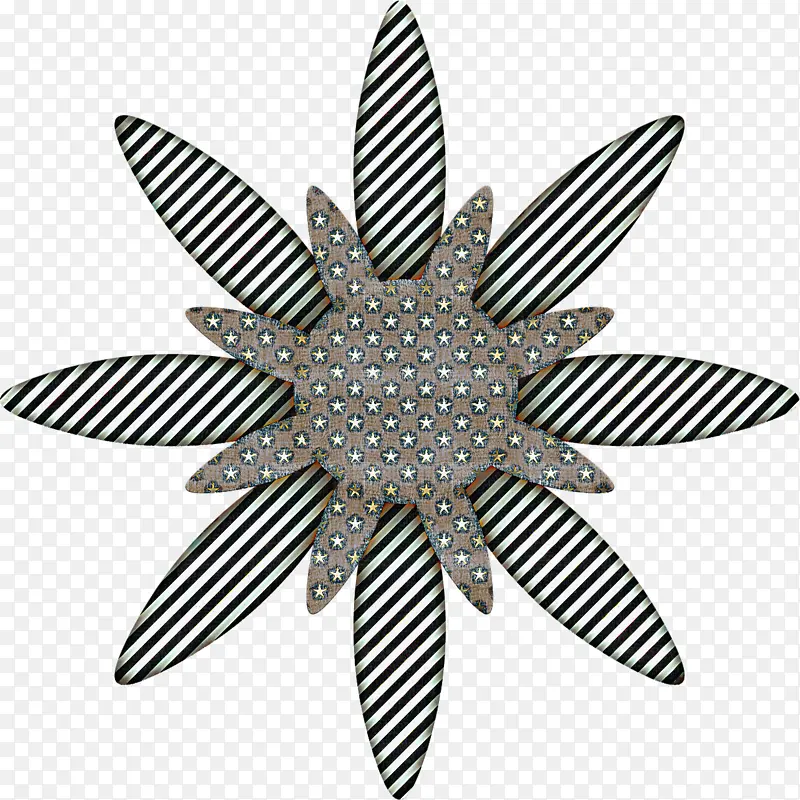 �ڰ� ���� ֲ��-������