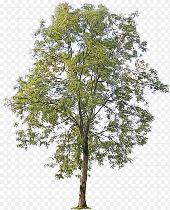 ˮ�ʻ� ���� ʪī-������