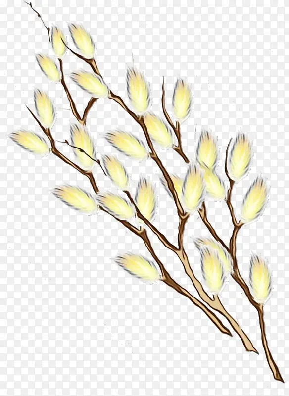 ˮ�ʻ� ���� ʪī-������