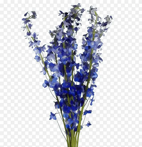 ˮ�� ���� ʪī-������