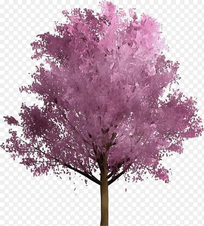 ˮ�ʻ� ���� ʪī-������