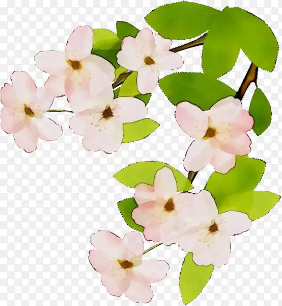 ˮ�ʻ� ���� ʪī-������