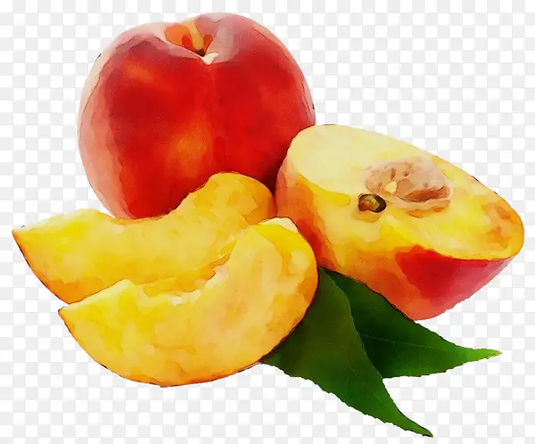 ˮ�ʻ� ���� ʪīˮ-������