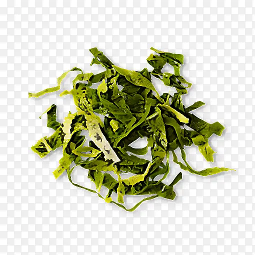 Ҷ���߲� ʳƷ ֲ��-������