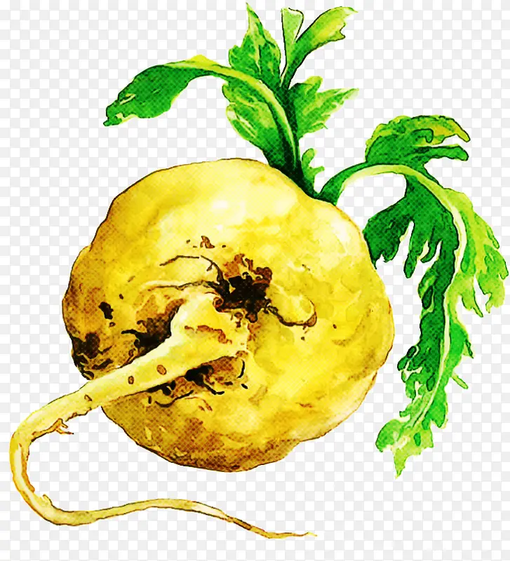 �ɹ���ƷʳƷ ���߲� ֲ��-������