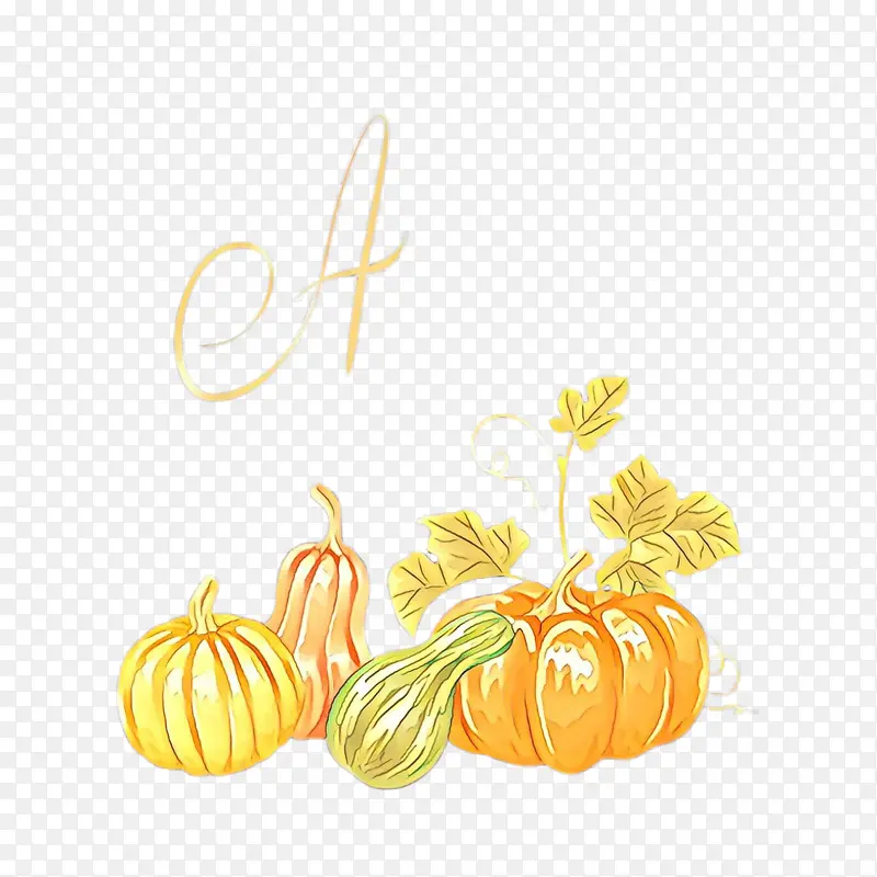 ��ɫ ��ɫ �Ϲ�-������