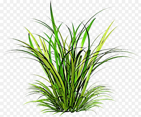 �� ֲ�� ½��ֲ��-������