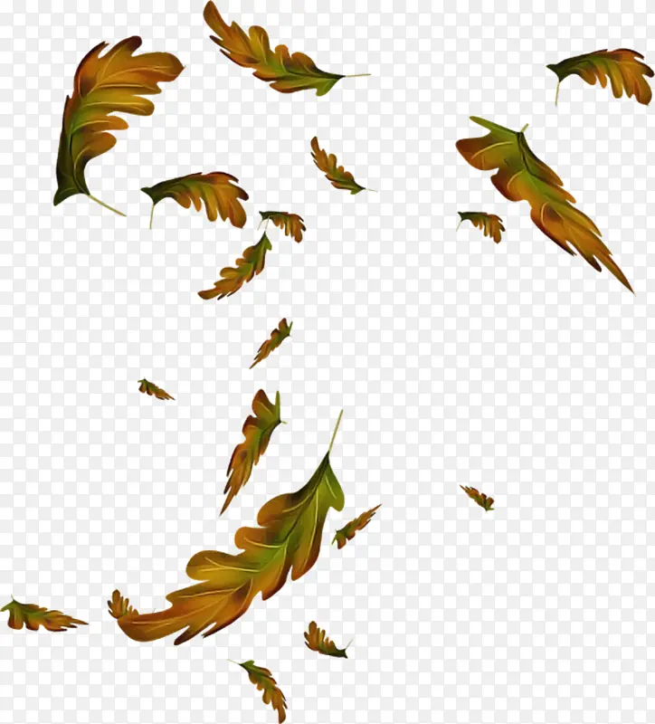 Ҷ�� ֲ�� ��-������