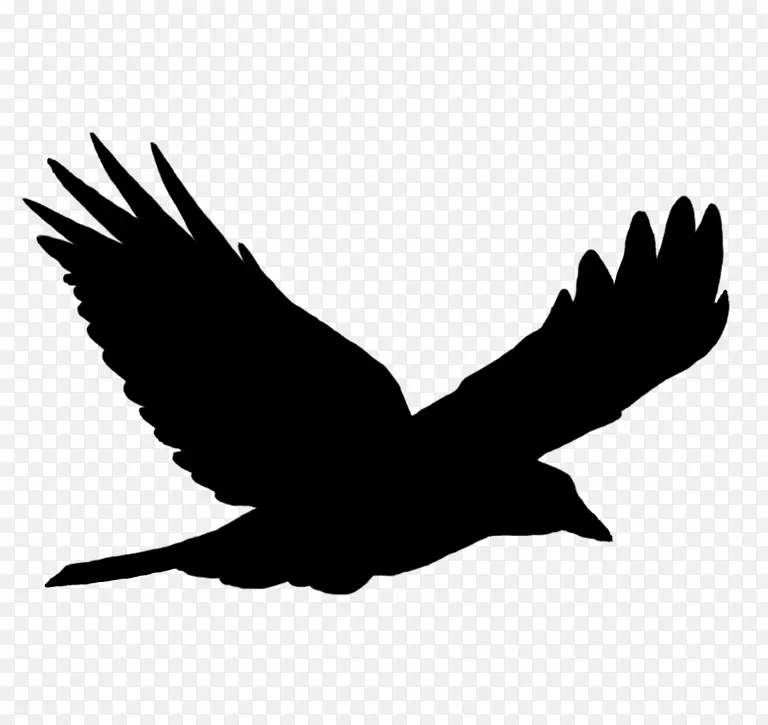 �� � ���-������