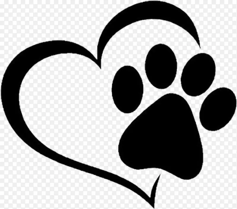 צ�� ���� ͷ-������