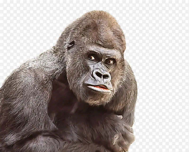 �����͵ش����� ͷ ����-������