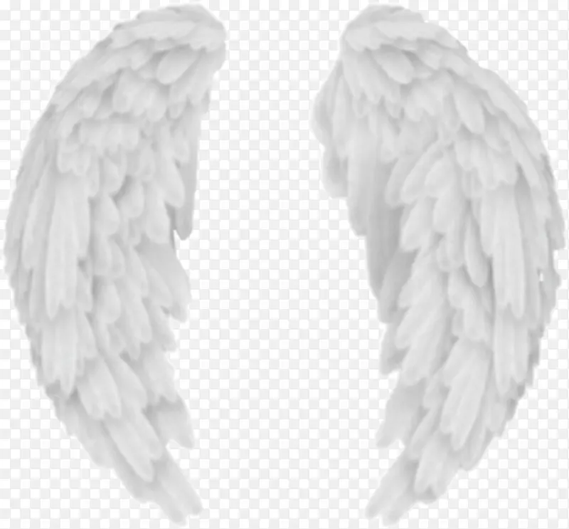 ���� ��ɫ ���-������