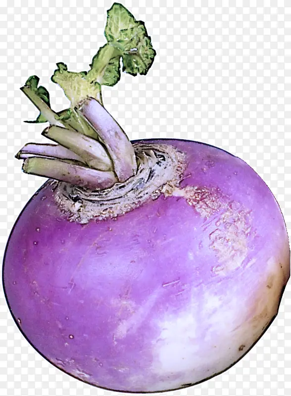 �ܲ� «�� �߲�-������