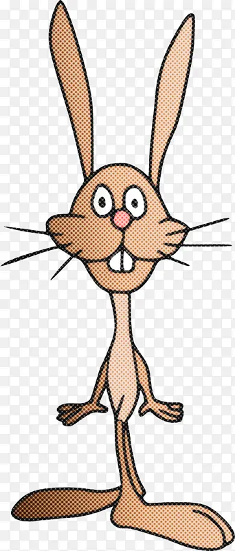 ��ͨ ���� ����-������