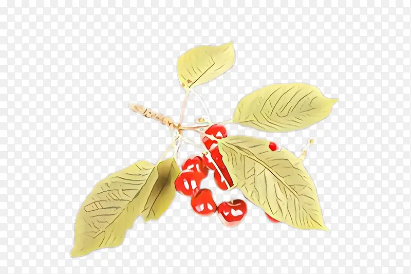 Ҷ�� �� ֲ��-������