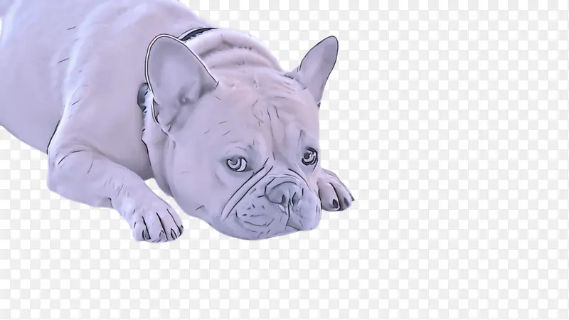 �� ���� ������ţȮ-������