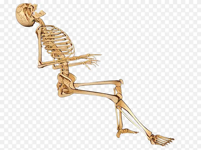 �Ǽ� ���� ����-������