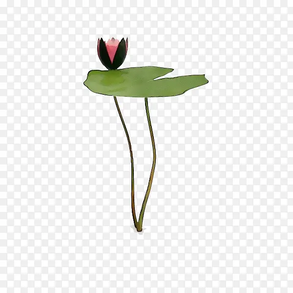 ˮ�ʻ� ���� ʪī-������