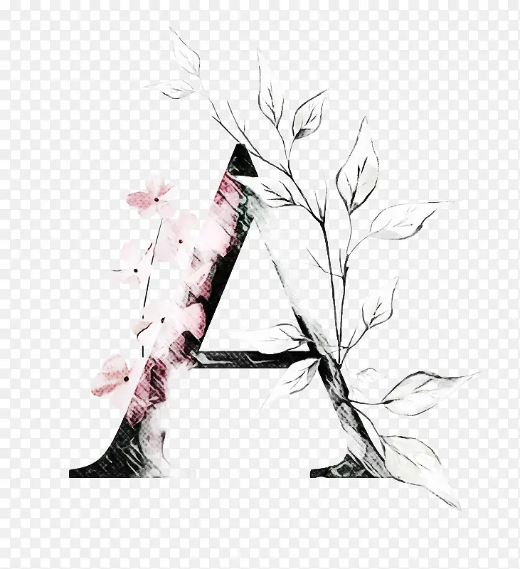 Ҷ�� ��֦ ��ë-������