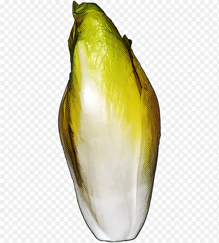 ��ɫ ֲ�� �߲�-������