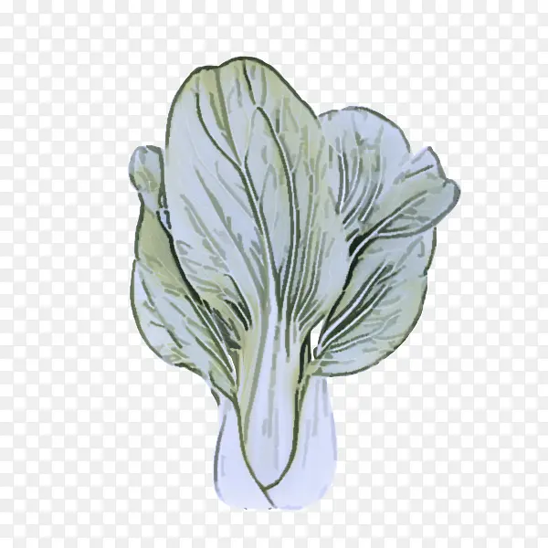 ���� ֲ�� ����-������