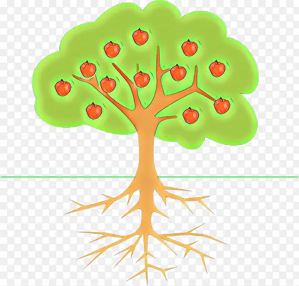 Ҷ�� �� ֲ��-������