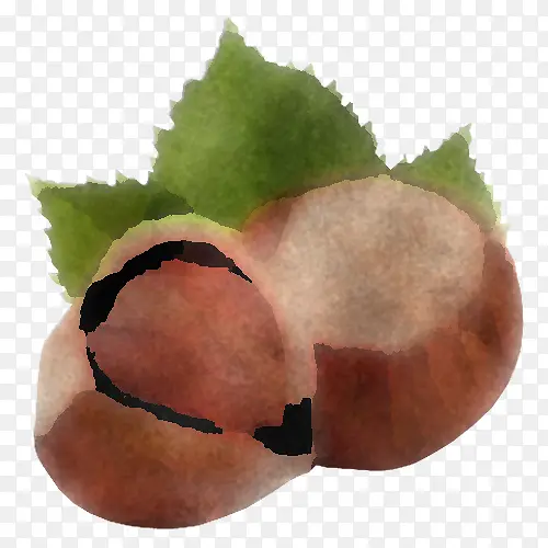 Ҷ�� ʳ�� ֲ��-������